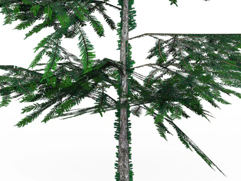 Low Poly Pine Tree 01 3D Model