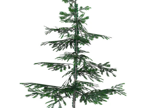 Low Poly Pine Tree 01 3D Model