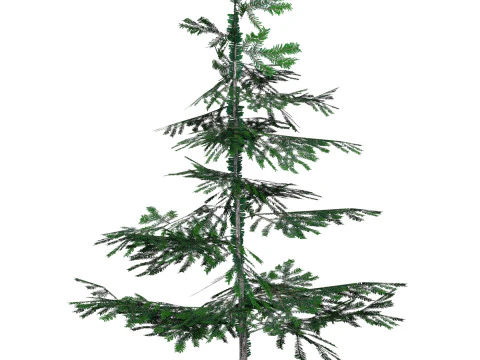 Low Poly Pine Tree 01 3D Model