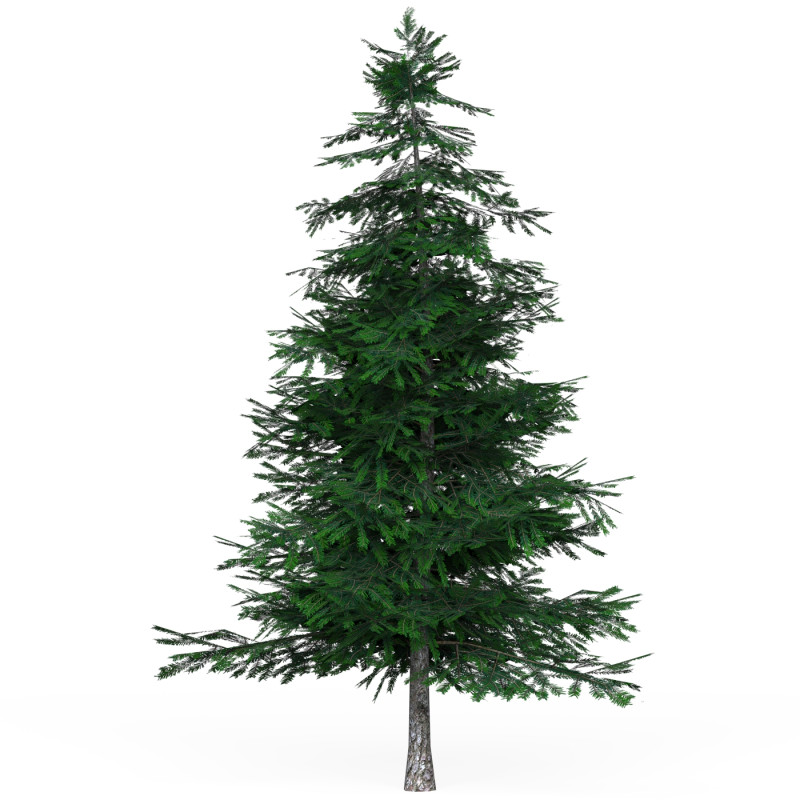 Low Poly Pine Tree 02 Model 3D .c4d .max .obj .3ds .fbx .stl .blend 