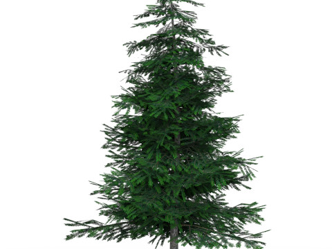 Low Poly Pine Tree 02 3Dモデル