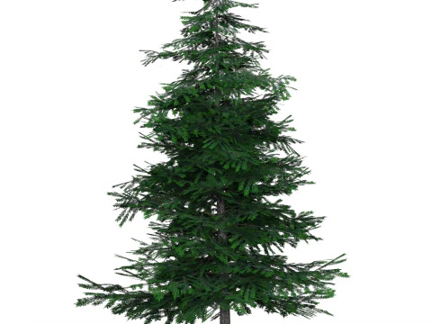 낮은 폴리 소나무 02 3D 모델