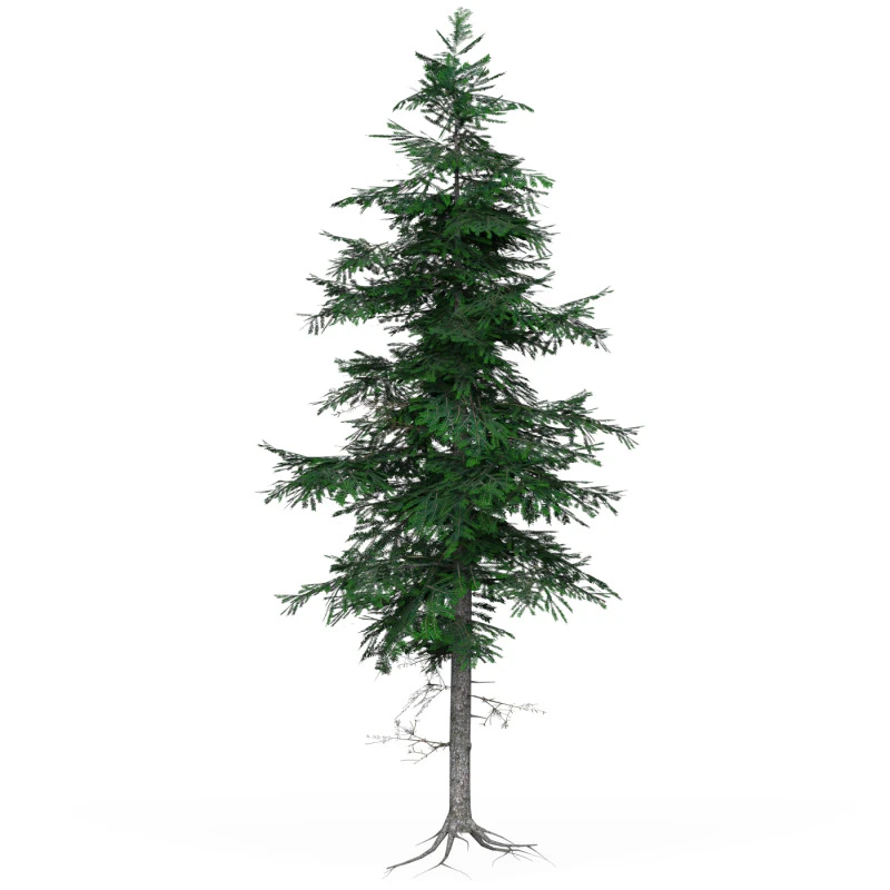 Low Poly Pine Tree 03 3D Model .c4d .max .obj .3ds .fbx .stl .blend