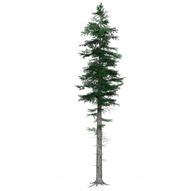 Low Poly Pine Tree 05 3D Model .c4d .max .obj .3ds .fbx .stl .blend 