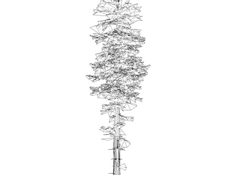 Low Poly Pine Tree 05 3D Model