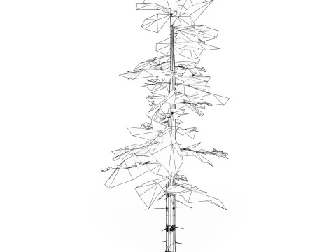 Low Poly Pine Tree 08 3D Model