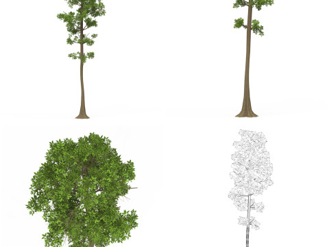 32 Realistic Low Poly Tree Collection 3D 모델