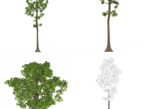 32 Realistic Low Poly Tree Collection 3D 모델