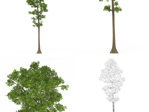 32 Realistic Low Poly Tree Collection 3D 모델