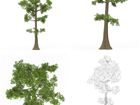 32 Realistic Low Poly Tree Collection 3D 모델