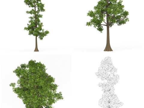 32 Realistic Low Poly Tree Collection 3D 모델