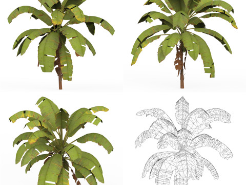 32 Realistic Low Poly Tree Collection 3D 모델