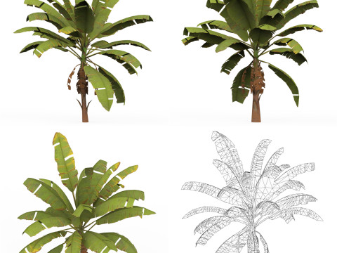 32 Realistic Low Poly Tree Collection 3D 모델