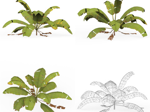 32 Realistic Low Poly Tree Collection 3D 모델