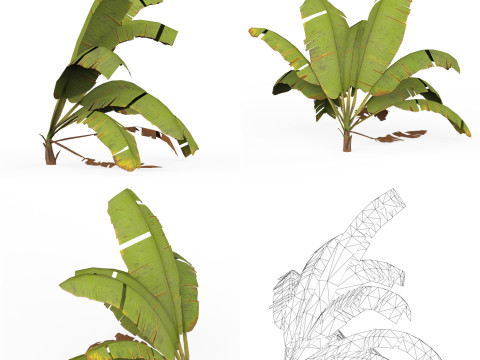 32 Realistic Low Poly Tree Collection 3D 모델