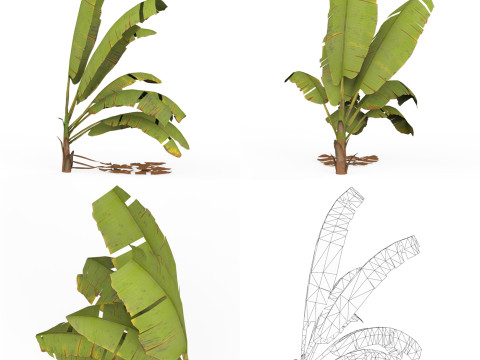 32 Realistic Low Poly Tree Collection 3D 모델