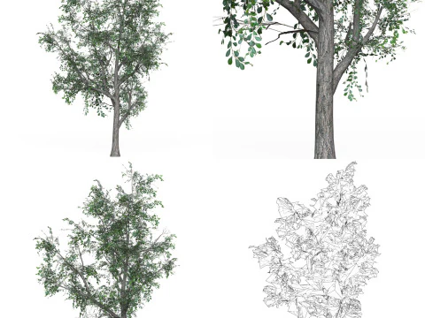 32 Realistic Low Poly Tree Collection 3D Model