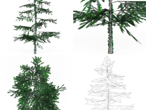32 Realistic Low Poly Tree Collection 3D 모델
