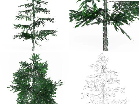32 Realistic Low Poly Tree Collection 3D Model