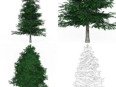 32 Realistic Low Poly Tree Collection 3D Model