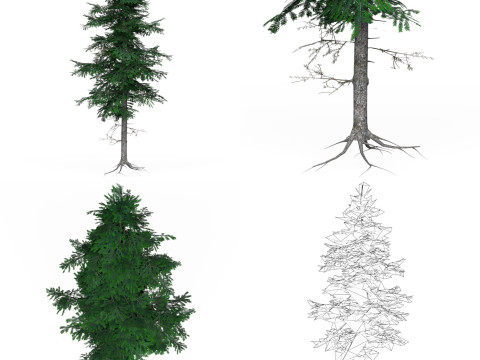 32 Realistic Low Poly Tree Collection 3D 모델
