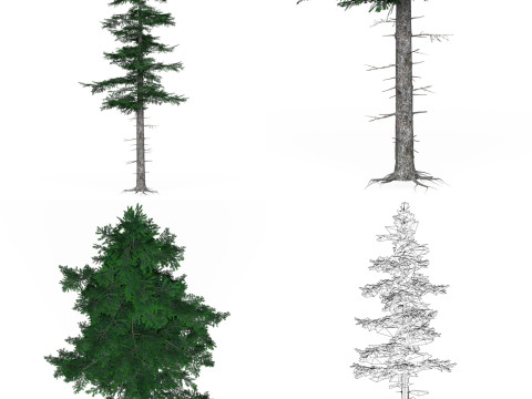 32 Realistic Low Poly Tree Collection 3D 모델
