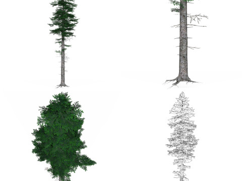 32 Realistic Low Poly Tree Collection 3D 모델