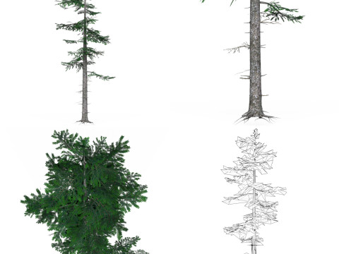 32 Realistic Low Poly Tree Collection 3D 모델
