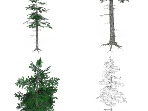 32 Realistic Low Poly Tree Collection 3D Model