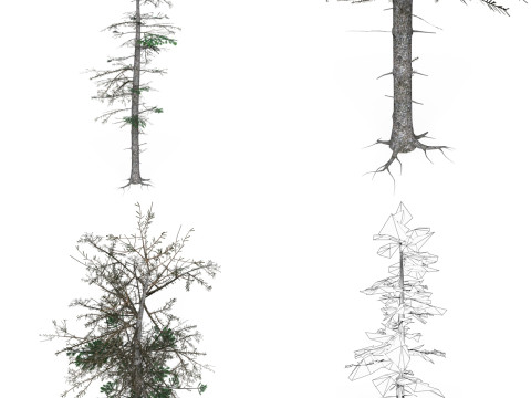 32 Realistic Low Poly Tree Collection 3D 모델