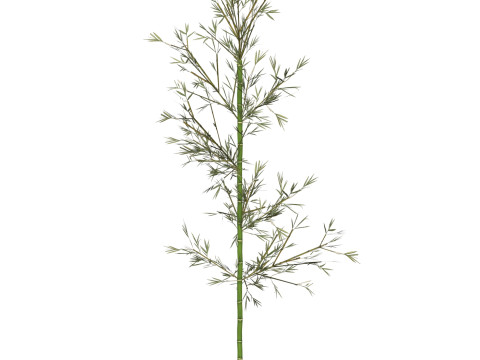 Realistic Low Poly Bamboo 01 3D मॉडल