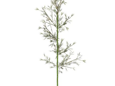 यथार्थवादी लो पॉली बांस 01 3D मॉडल