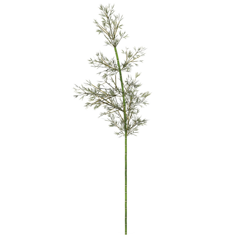 Realistic Low Poly Bamboo 02 Modello 3D .c4d .max .obj .3ds .fbx .stl .blend 