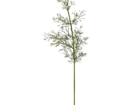 Realistic Low Poly Bamboo 02 Modello 3D