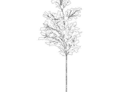 Bamb&ugrave; realistico a basso numero di poligoni 02 Modello 3D