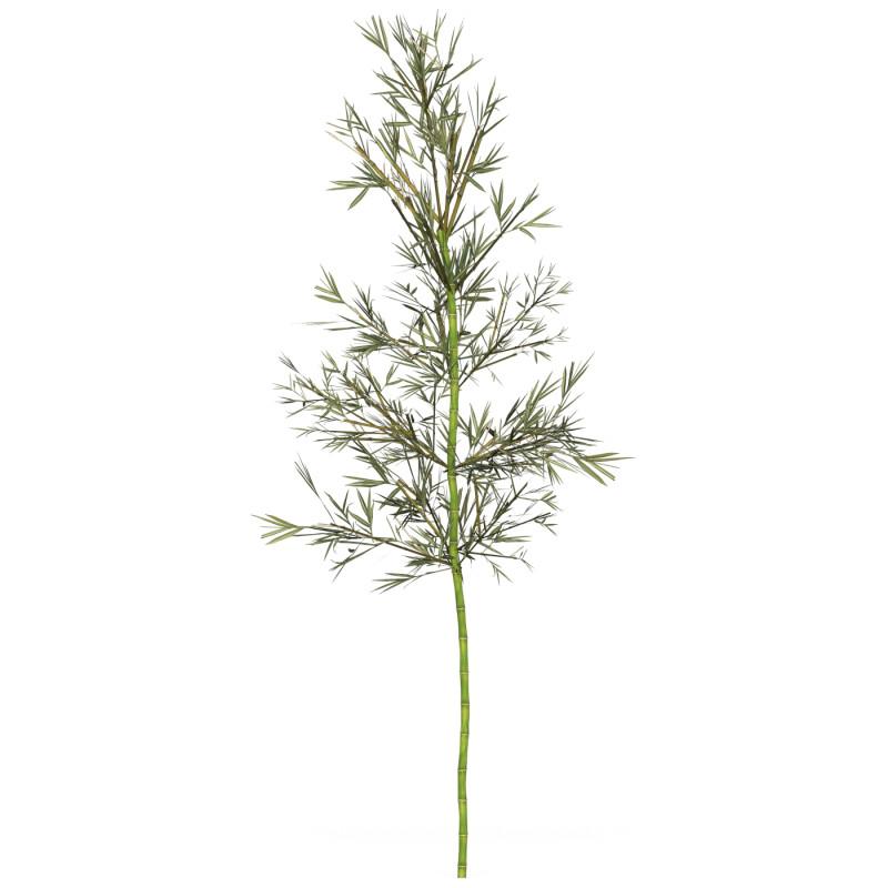 Realistic Low Poly Bamboo 03 3D Модель .c4d .max .obj .3ds .fbx .stl .blend 