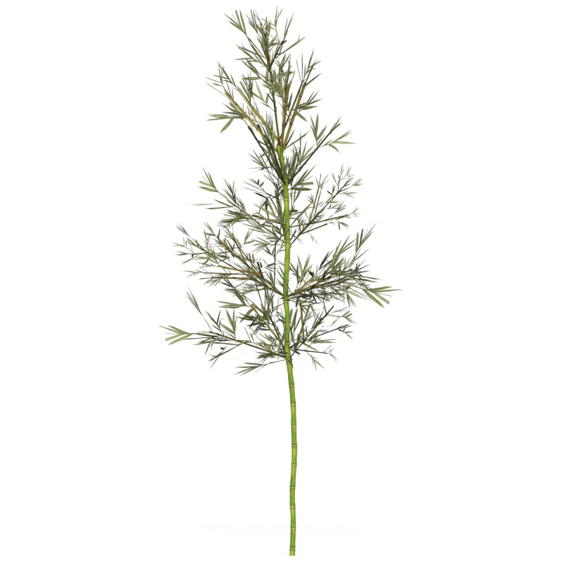 Realistic Low Poly Bamboo 03 3D Model .c4d .max .obj .3ds .fbx .stl .blend 