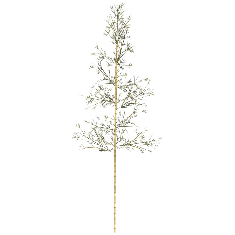 Realistic Low Poly Bamboo 05 3Dモデル .c4d .max .obj .3ds .fbx .stl .blend 