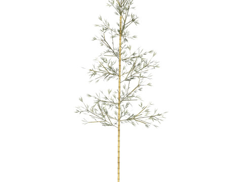 Realistic Low Poly Bamboo 05 3D मॉडल