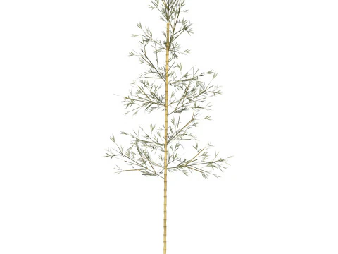 Ger&ccedil;ek&ccedil;i D&uuml;ş&uuml;k Poli Bambu 05 3D Model