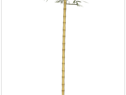Realistic Low Poly Bamboo 05 3Dモデル