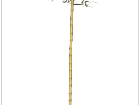Realistic Low Poly Bamboo 05 3D Model