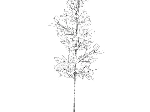 Realistic Low Poly Bamboo 05 3D Model