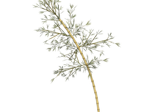 Realistic Low Poly Bamboo 06 Modello 3D
