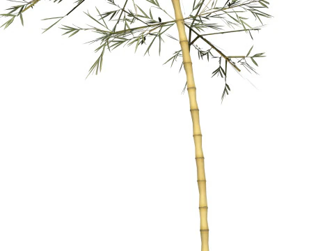 Realistic Low Poly Bamboo 06 3D Model