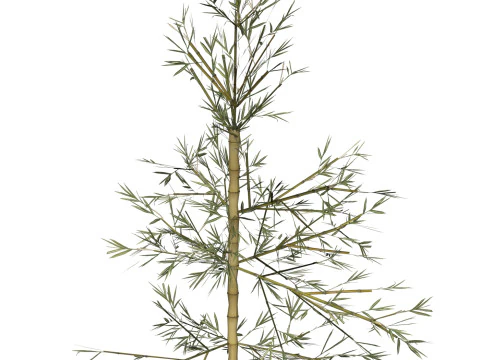Realistic Low Poly Bamboo 06 3D Model