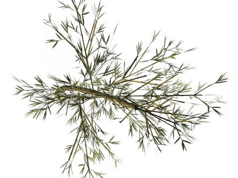 Realistic Low Poly Bamboo 06 3D Модель