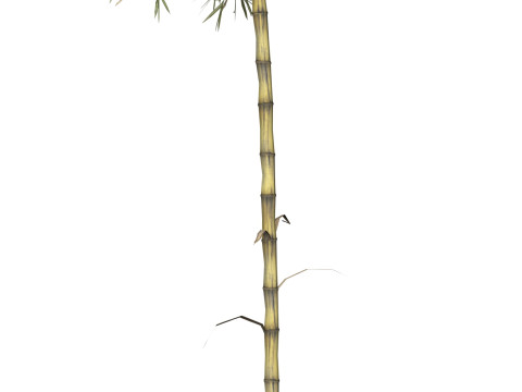 Realistic Low Poly Bamboo 07 3D 모델