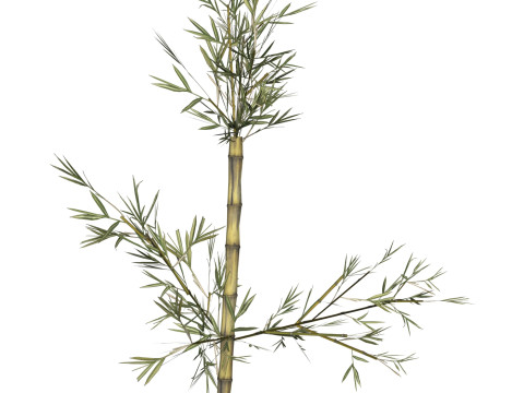 Realistic Low Poly Bamboo 07 3D 모델