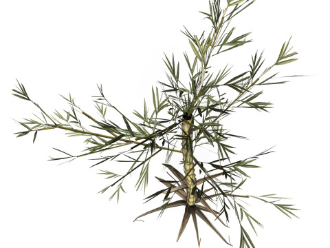 Realistic Low Poly Bamboo 07 3D 모델